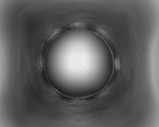 X0000086261107200704122005