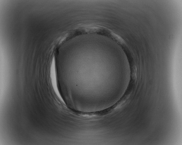 X0000086261108200704122005