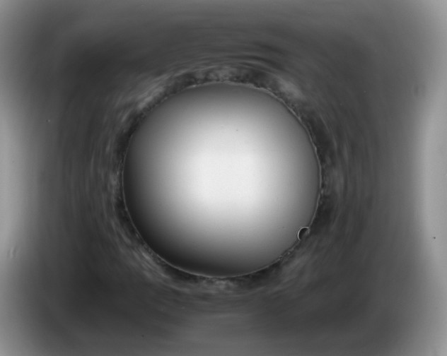 X0000086261109200704122005