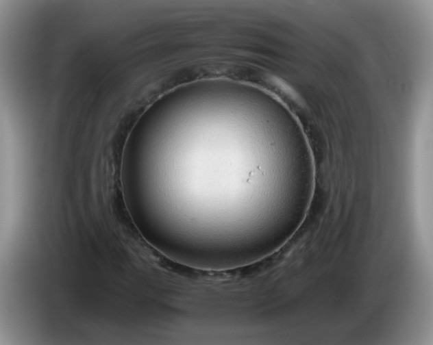 X0000086261111200704122005