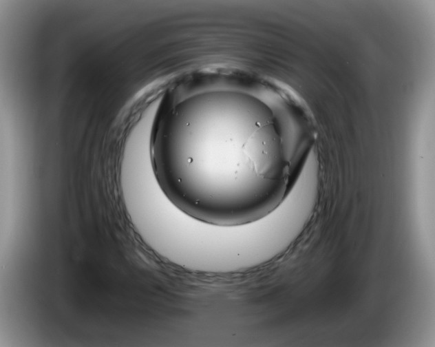 X0000086261112200704122005