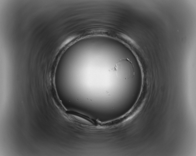 X0000086261113200704122005