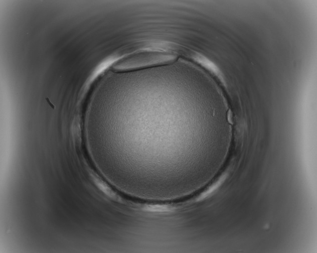 X0000086261114200704122005