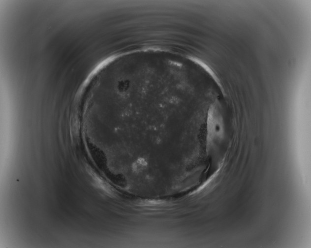 X0000086261115200704122005