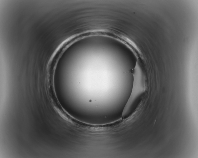 X0000086261116200704122005