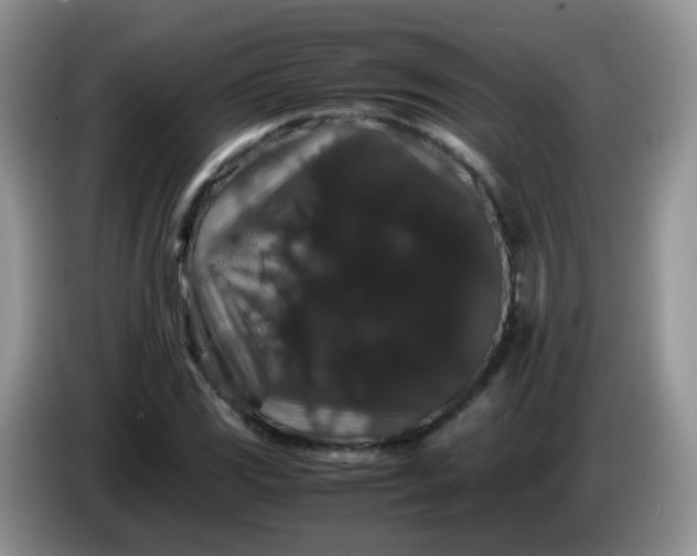 X0000086261117200704122005