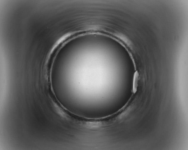 X0000086261118200704122005