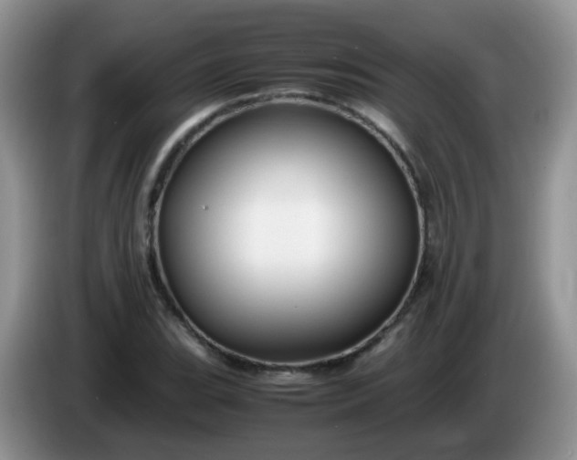 X0000086261119200704122005
