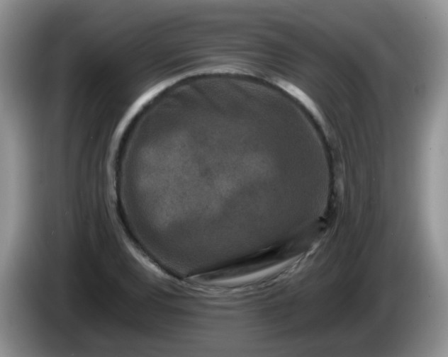 X0000086261120200704122005