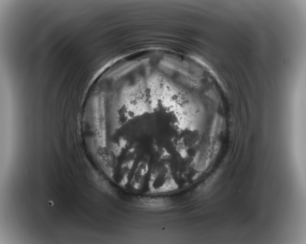 X0000086261121200704122005
