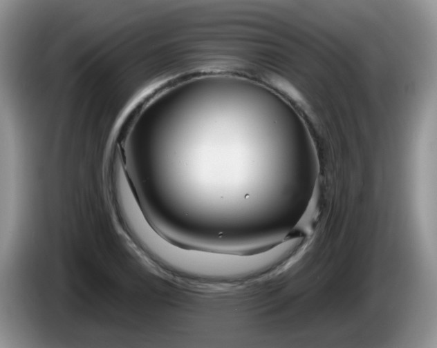 X0000086261122200704122005
