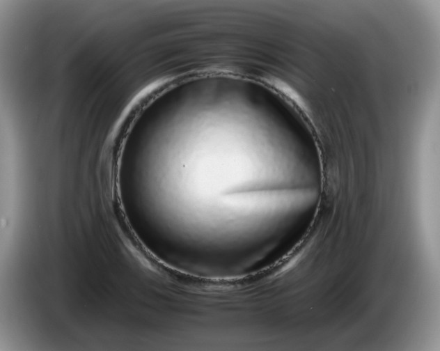 X0000086261123200704122005