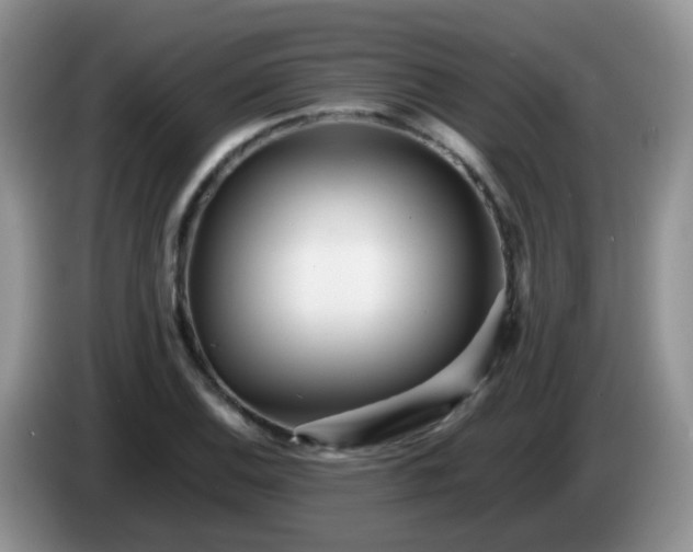 X0000086261124200704122005