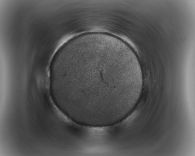 X0000086261126200704122005
