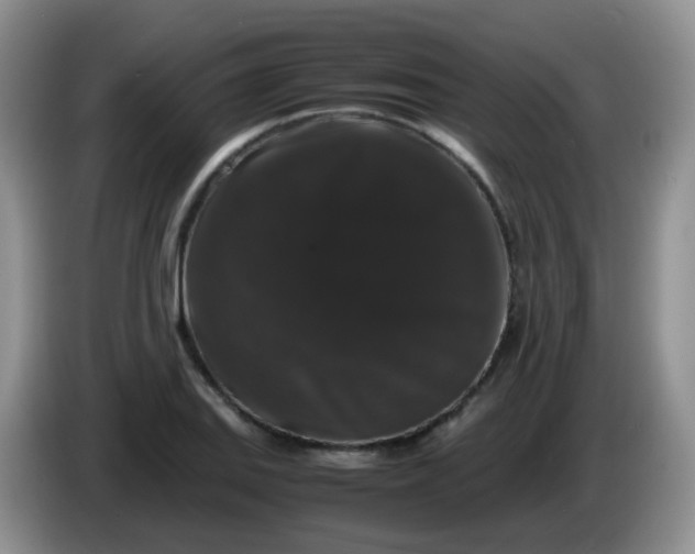 X0000086261127200704122005