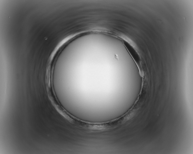 X0000086261128200704122005