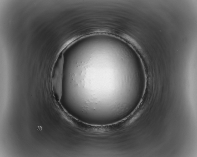 X0000086261129200704122005