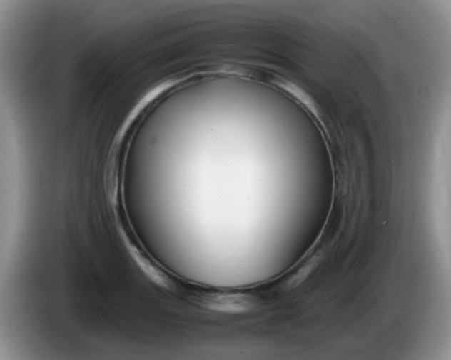 X0000086261131200704122005