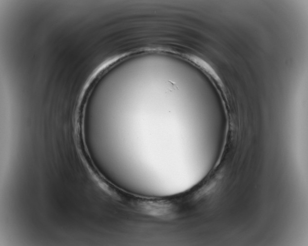 X0000086261133200704122005