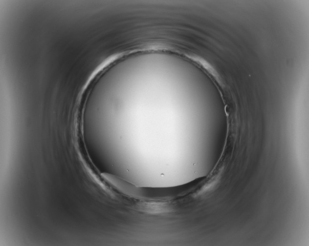 X0000086261134200704122005