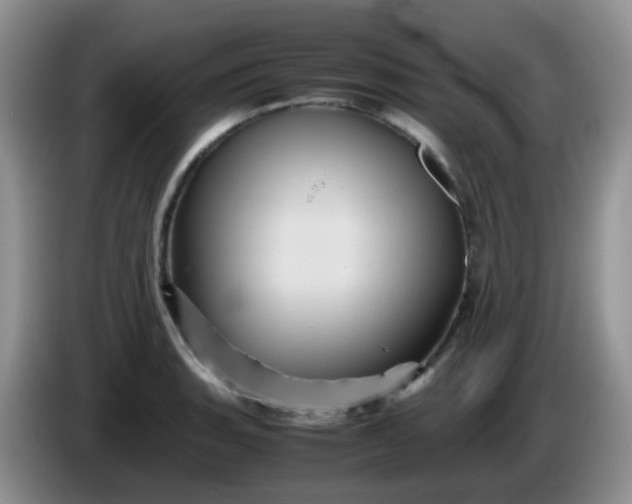 X0000086261135200704122005