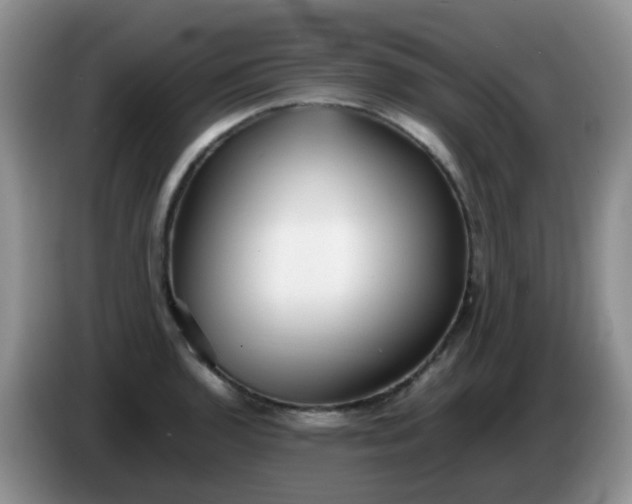 X0000086261136200704122005