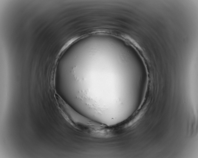 X0000086261137200704122005