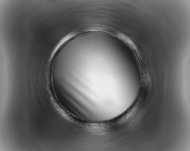 X0000086261138200704122005