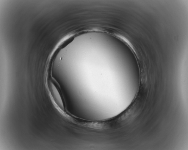 X0000086261139200704122005