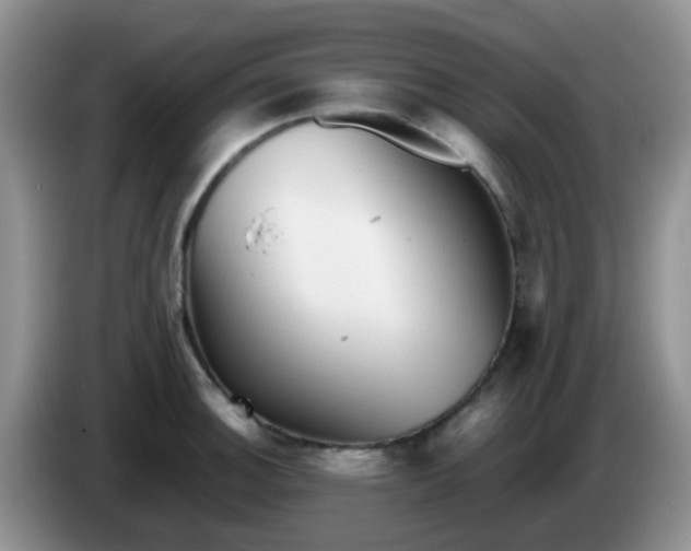 X0000086261140200704122005