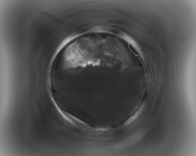 X0000086261141200704122005