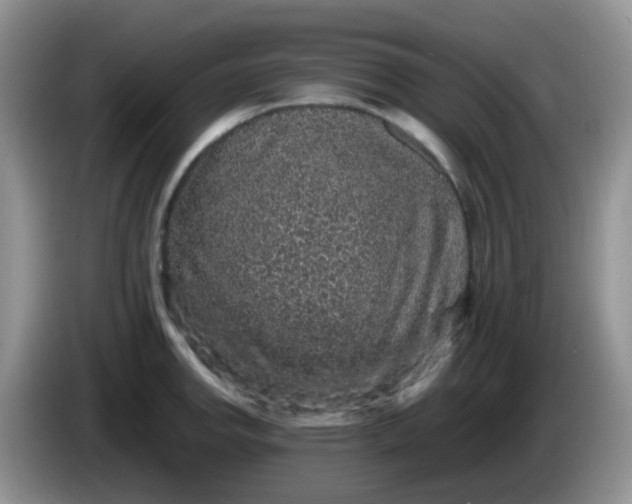 X0000086261142200704122005