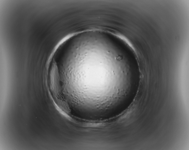 X0000086261143200704122005