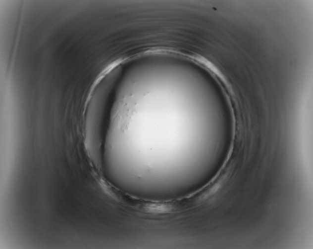 X0000086261145200704122005