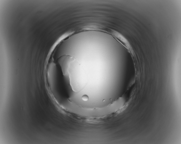 X0000086261146200704122005