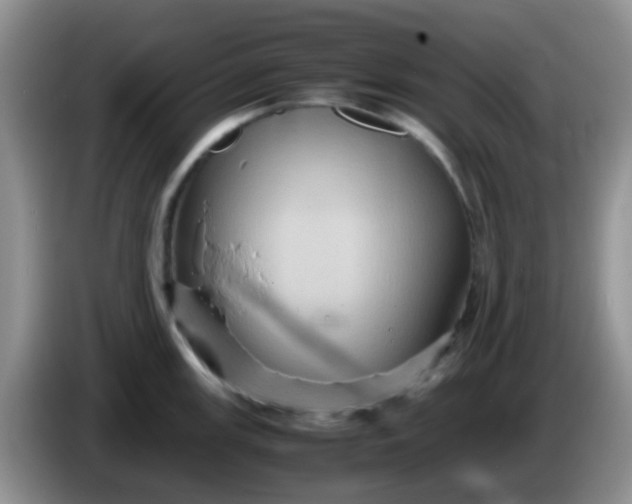 X0000086261147200704122005