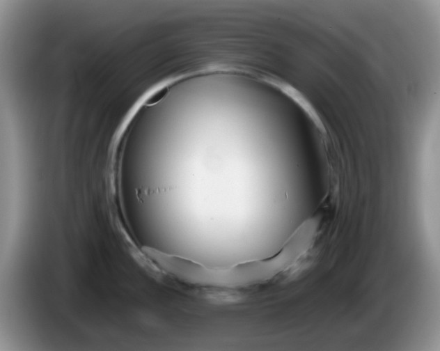X0000086261148200704122005