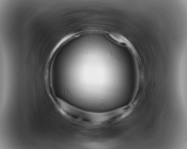X0000086261149200704122005