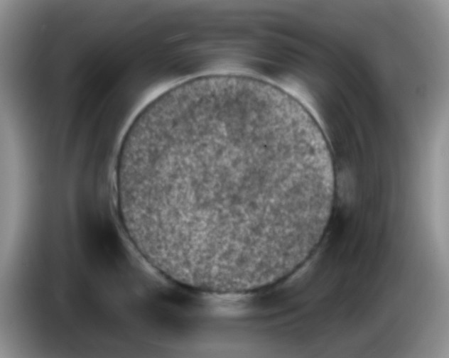 X0000086261150200704122005