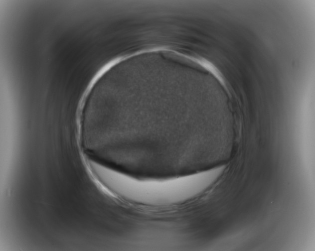 X0000086261151200704122006