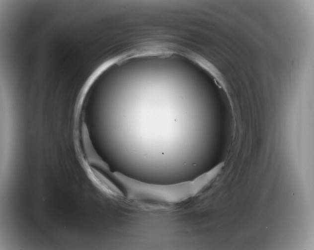 X0000086261152200704122006