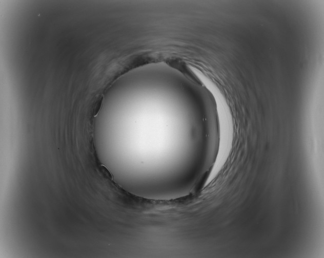 X0000086261153200704122005