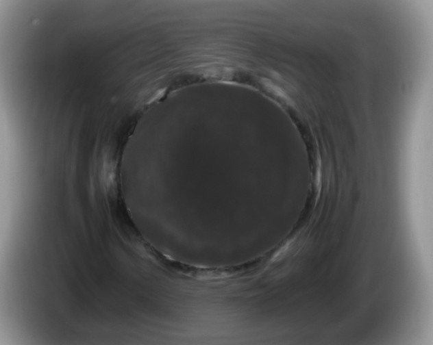 X0000086261154200704122005