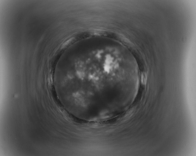 X0000086261155200704122005