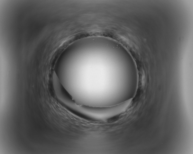 X0000086261157200704122005