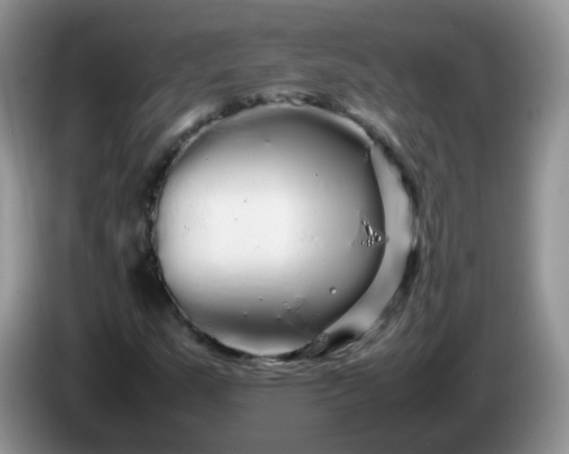 X0000086261159200704122005