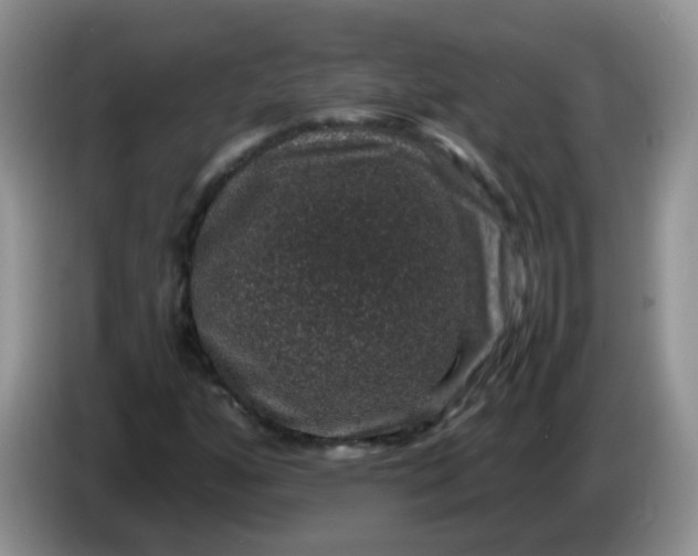 X0000086261160200704122005