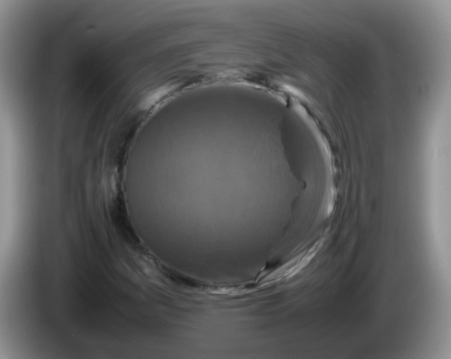 X0000086261161200704122005