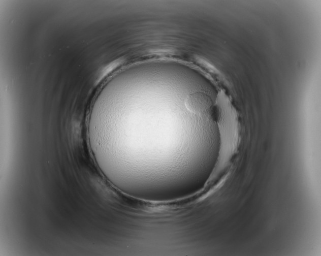 X0000086261162200704122005