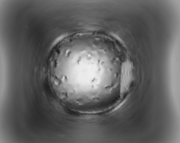 X0000086261163200704122005